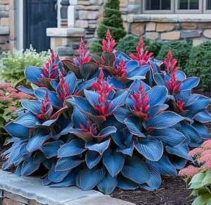 Хоста Грин Фог купить по цене от 669р. в интернет-магазине «Посадика» с доставкой почтой в в Белебейе и по всей России – [изображение №1].