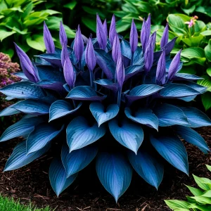 Хоста Сикрет Гров купить по цене от 570р. в интернет-магазине «Посадика» с доставкой почтой в в Белебейе и по всей России – [изображение №1].